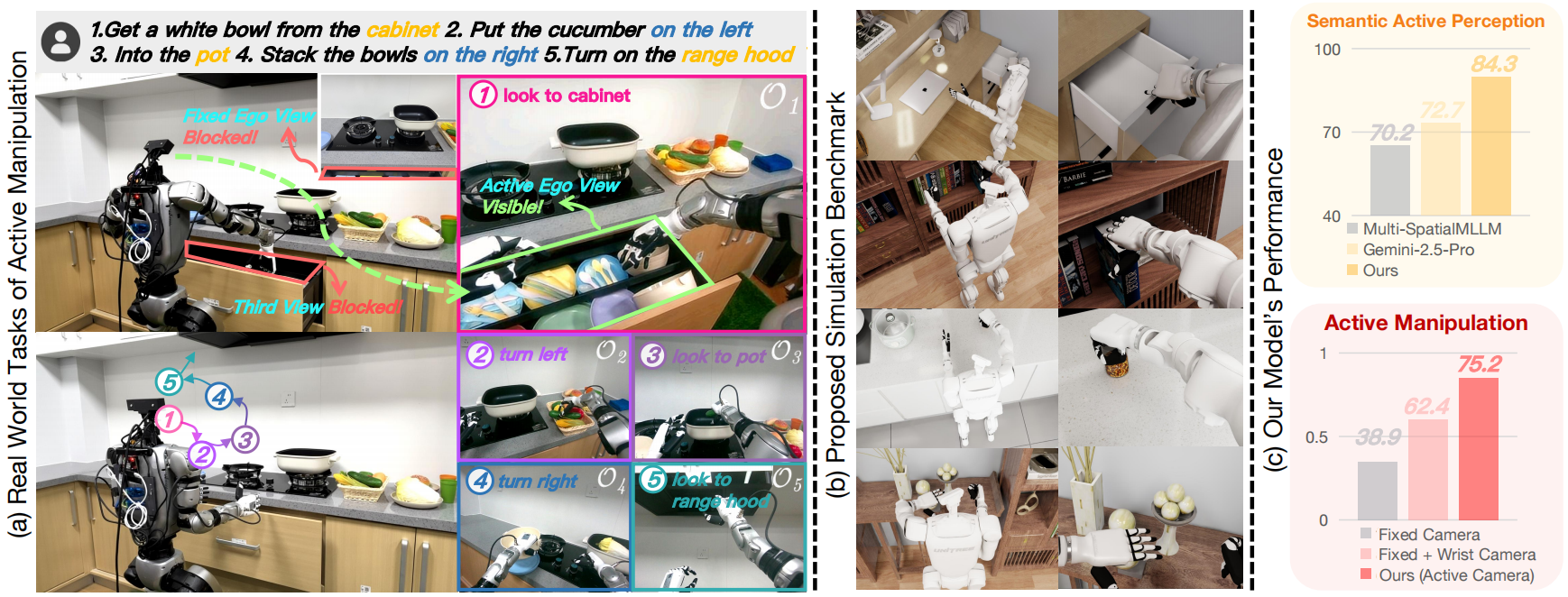 SaPaVe teaser figure